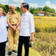 politik-suarateluk-1